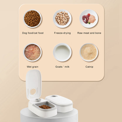 Automatic Pet Smart Food Dispenser Feeder
