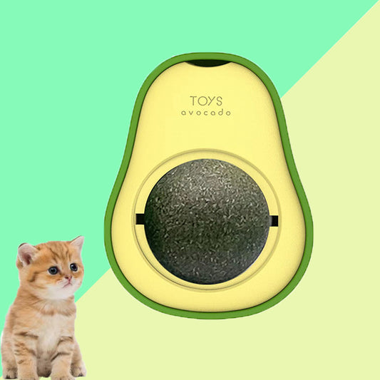 Multifunctional Catnip Avocado Cat Mint