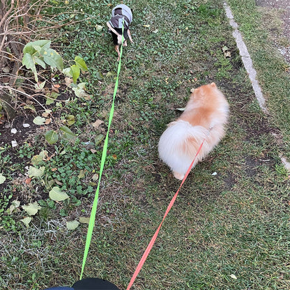 Reflective Dual 360 Swivel Walking Leash With Lights