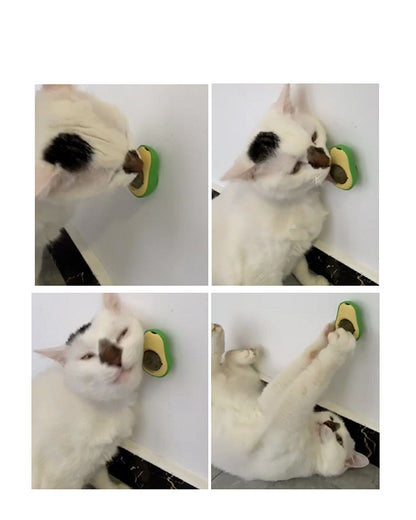 Multifunctional Catnip Avocado Cat Mint