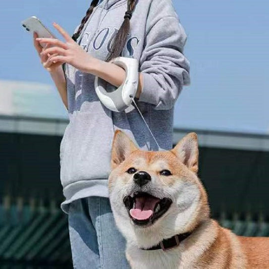 LED Lighting Automatic Dog Traction Rope